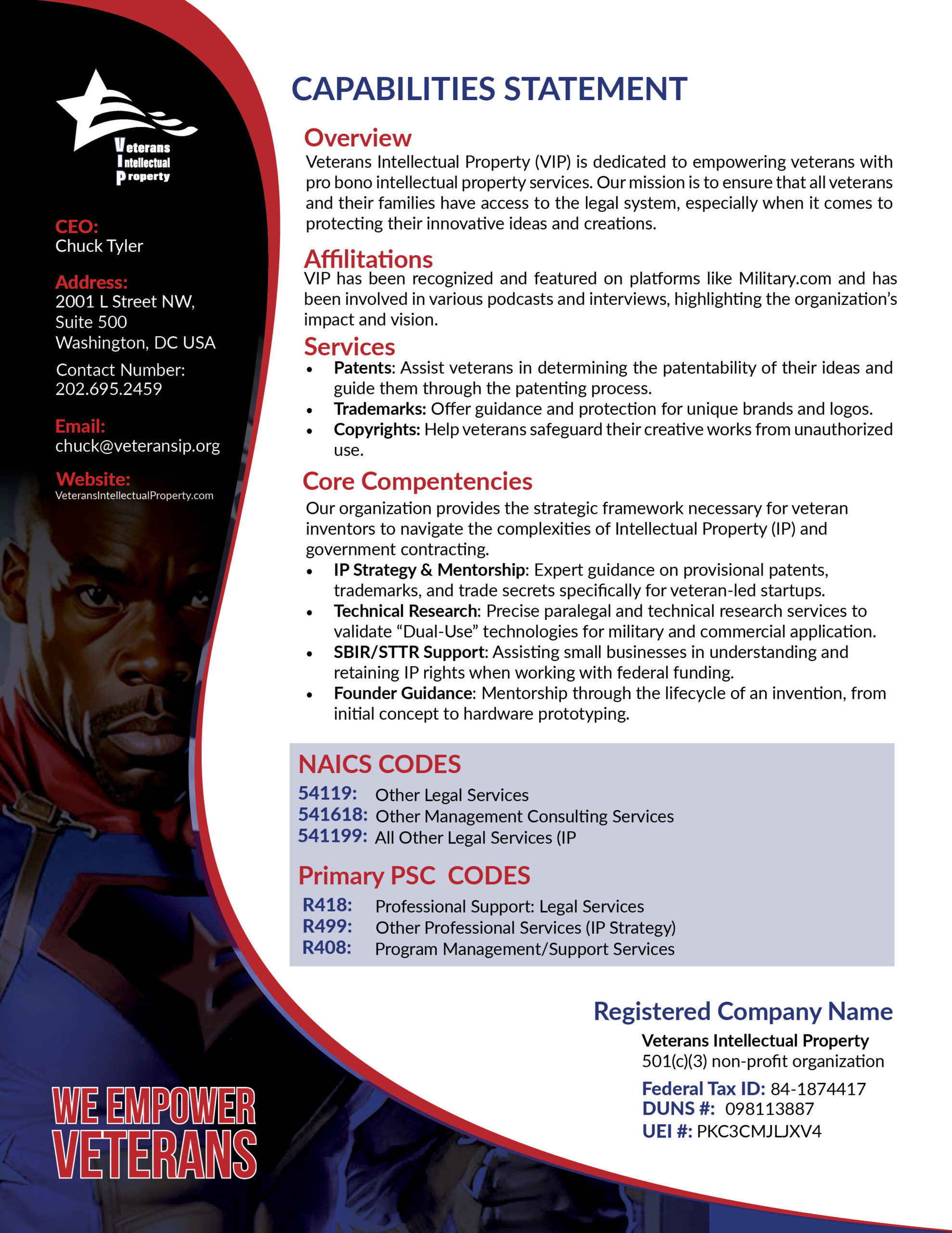 vip capability statement